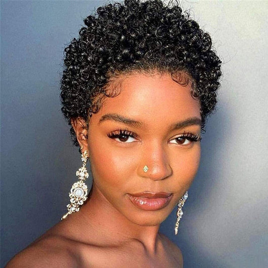 Short Afro Kinky Curly Wigs for Women Human Hair Malaysian Remy Hair 180% Density Human Hair Wigs Glueless Machine Made Wig