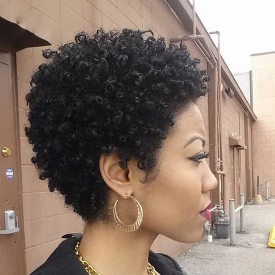 Short Afro Kinky Curly Wigs for Women Human Hair Malaysian Remy Hair 180% Density Human Hair Wigs Glueless Machine Made Wig